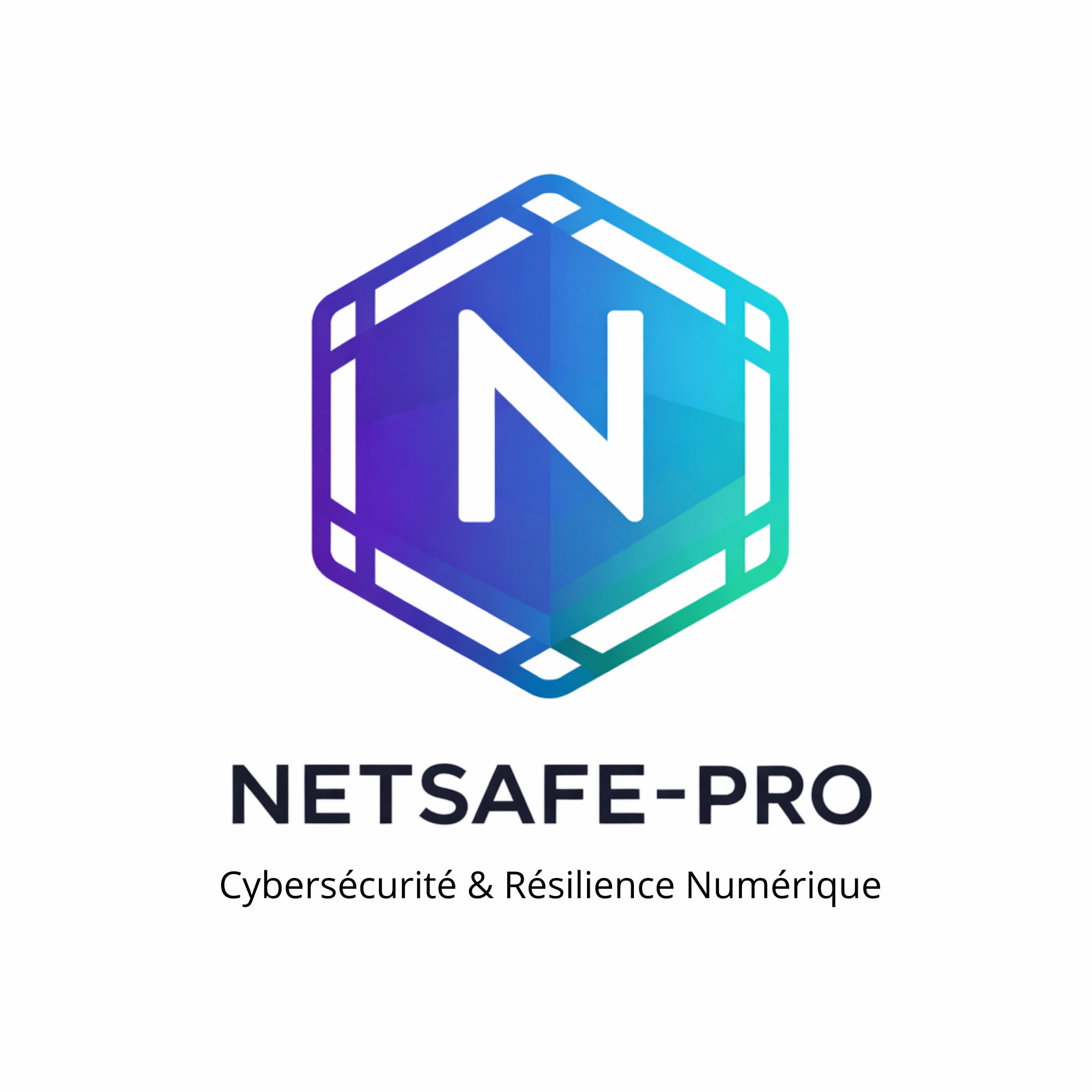 NETSAFE-PRO